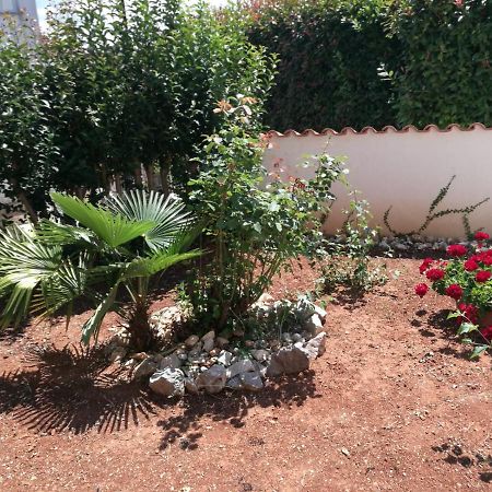 Ferienhaus Bozena Appartment 2 Vrsar Dış mekan fotoğraf