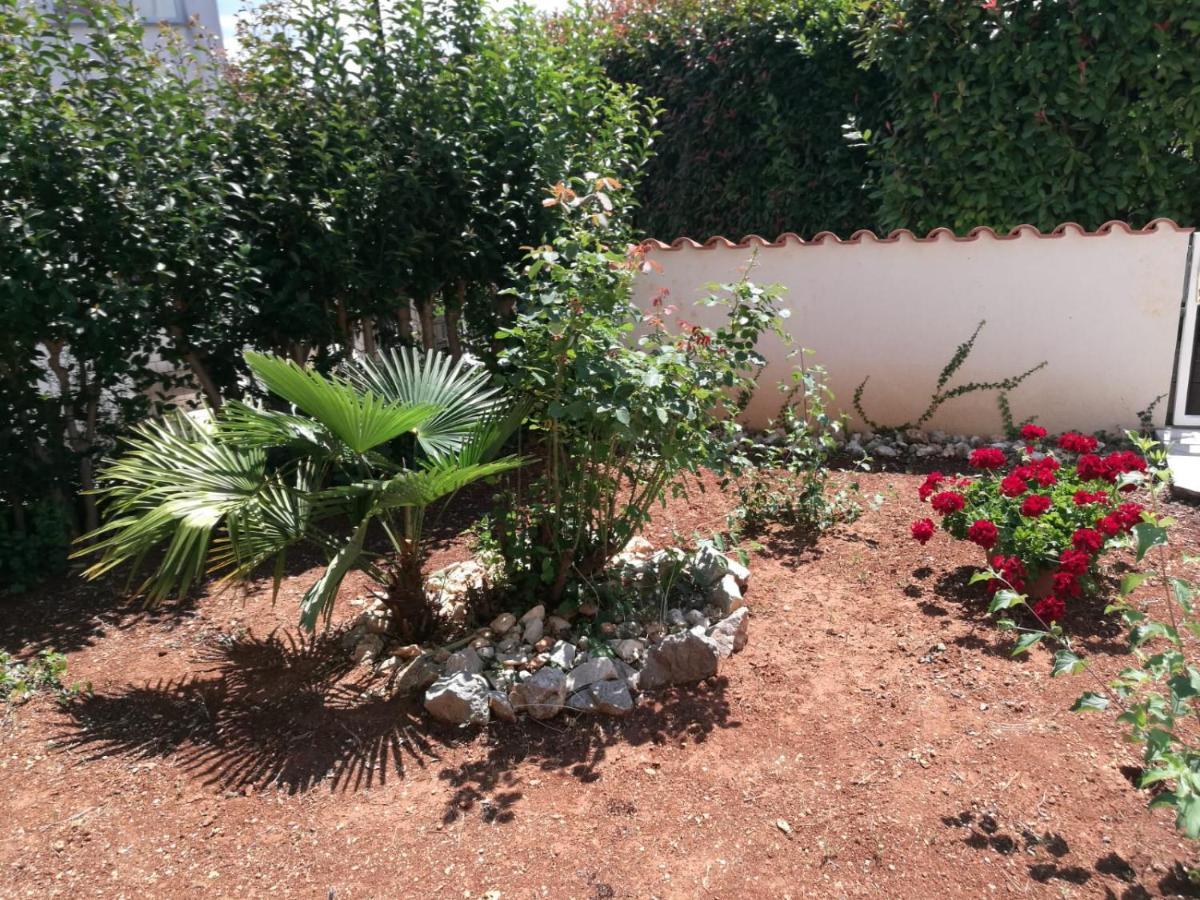 Ferienhaus Bozena Appartment 2 Vrsar Dış mekan fotoğraf