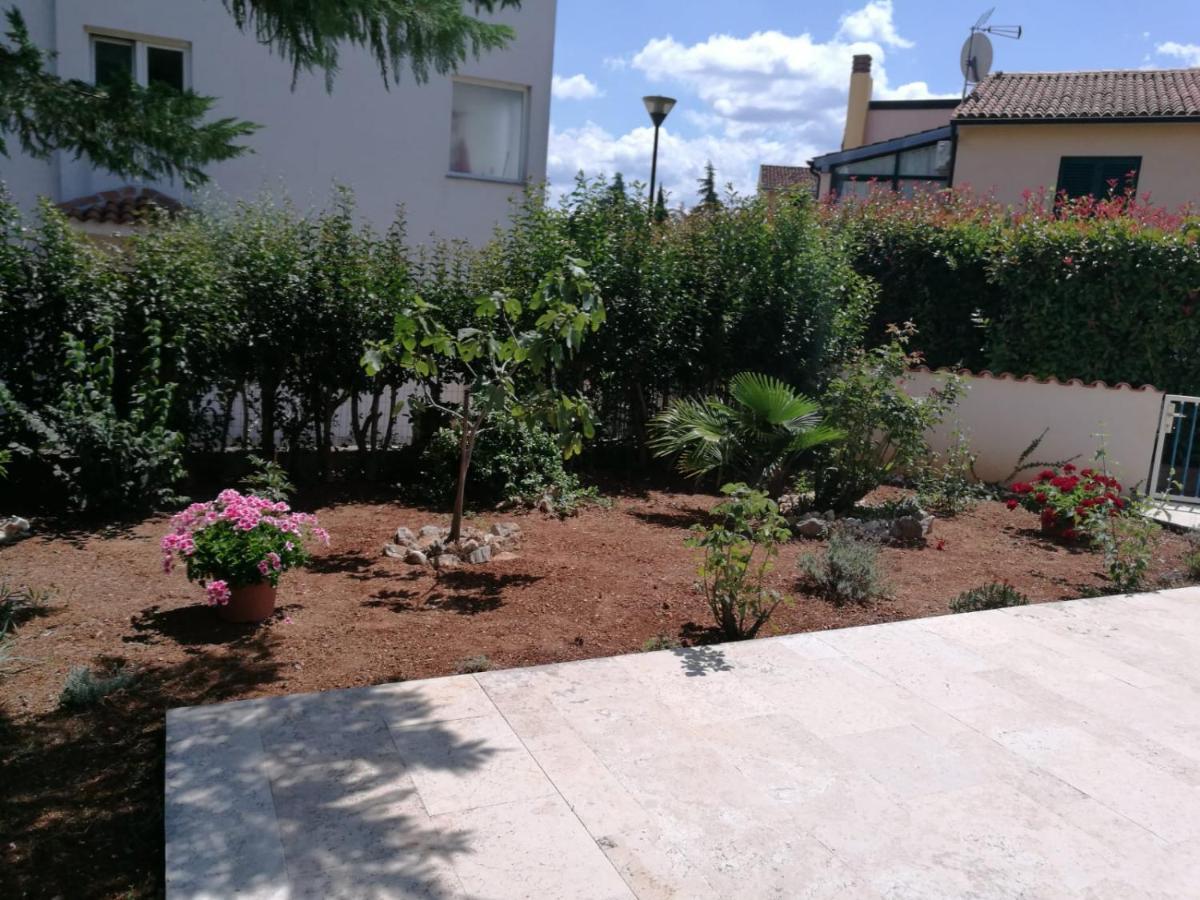 Ferienhaus Bozena Appartment 2 Vrsar Dış mekan fotoğraf
