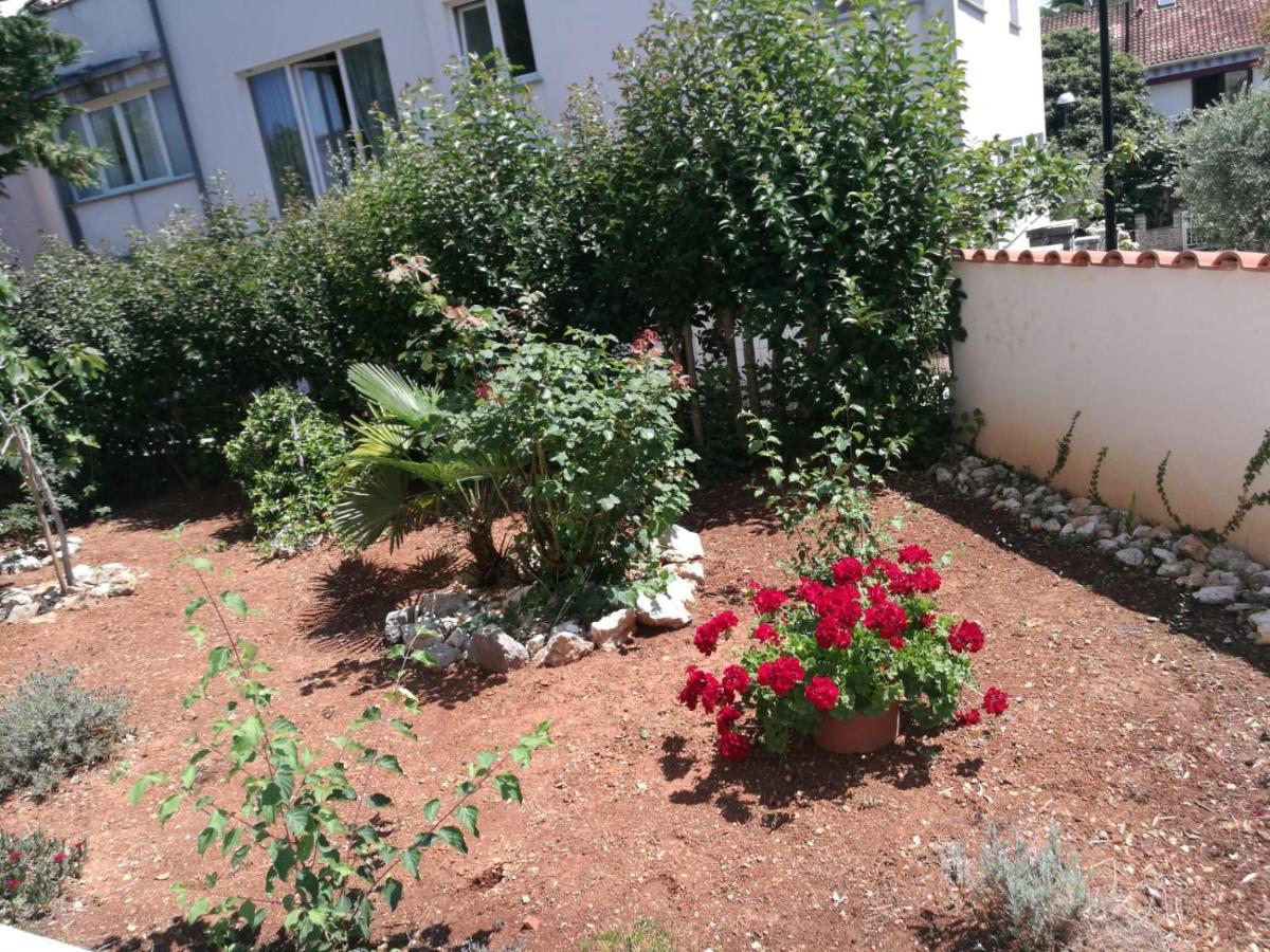 Ferienhaus Bozena Appartment 2 Vrsar Dış mekan fotoğraf